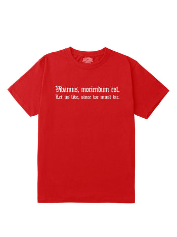 Vivamus Regular Fit T-Shirt